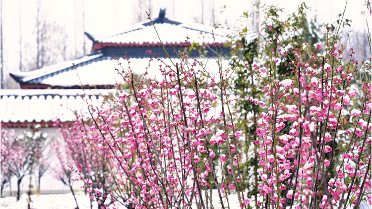 1765848257313918.jpg 微信图片_2025-12-16_091810_987.jpg