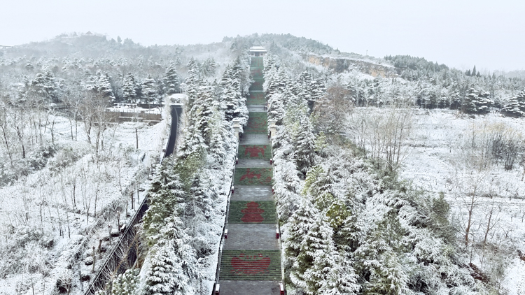 1765848678848822.jpg 微信图片_2025-12-16_092613_212.jpg