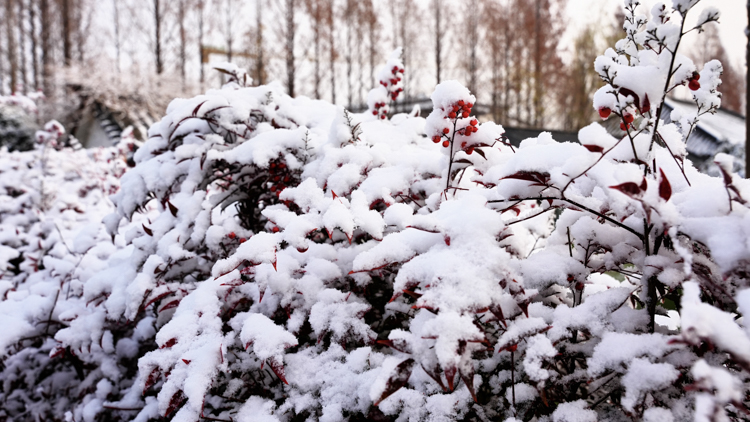 1765848702256185.jpg 微信图片_2025-12-16_092624_692.jpg