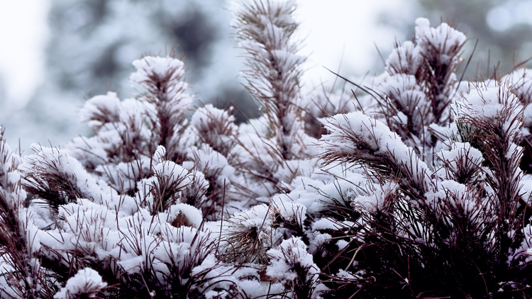 1765848769704790.jpg 微信图片_2025-12-16_092641_668.jpg