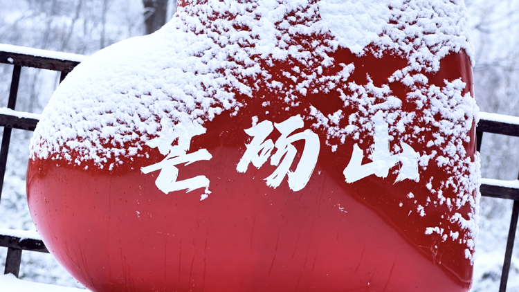 1765848878343821.jpg 微信图片_2025-12-16_092656_308.jpg