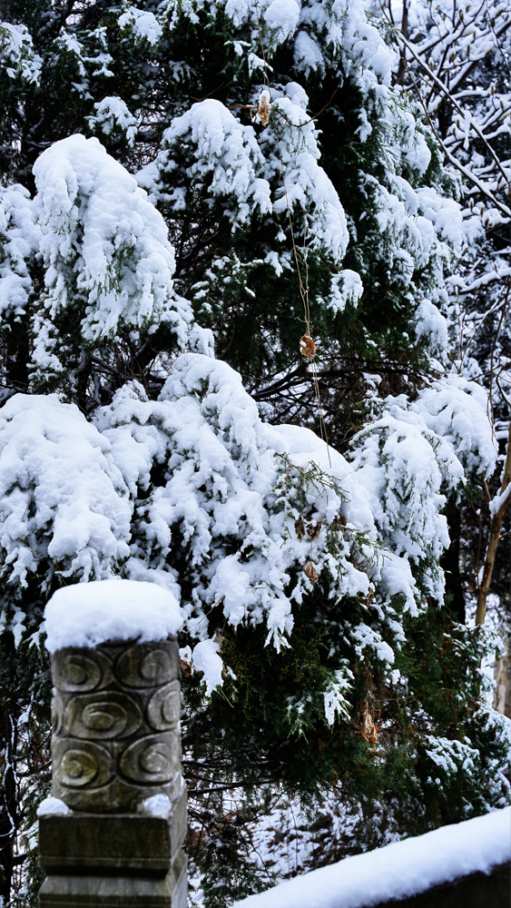 1765848897400076.jpg 微信图片_2025-12-16_092659_340.jpg