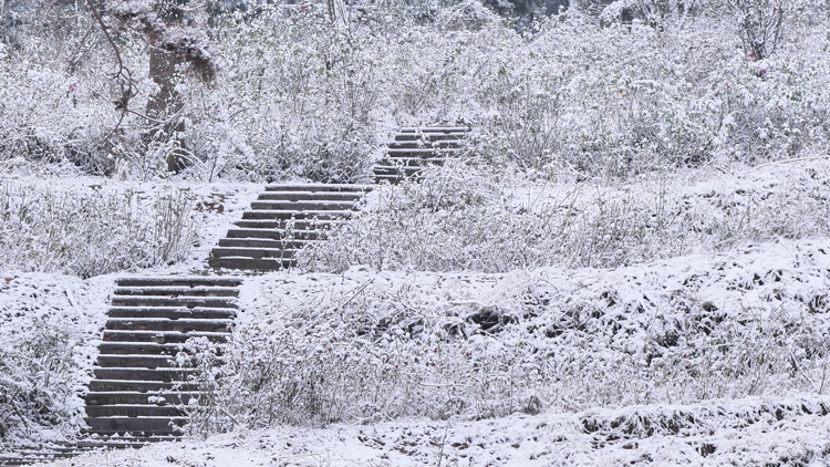 1766452159890746.jpg 微信图片_2025-12-23_090102_310.jpg